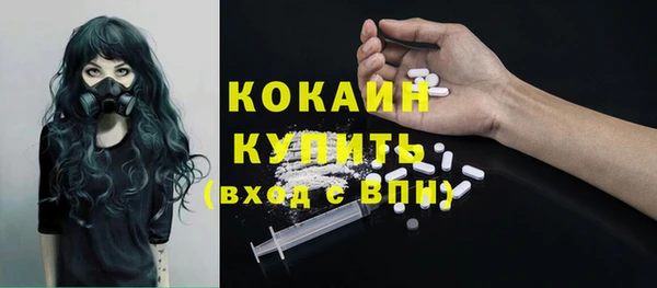 гашиш Богданович