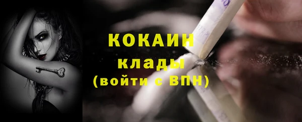 гашиш Богданович