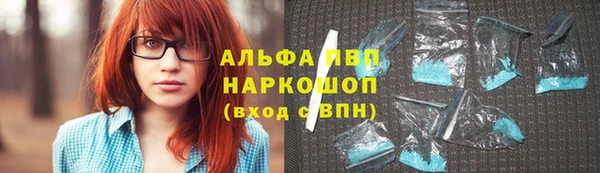 гашиш Богданович
