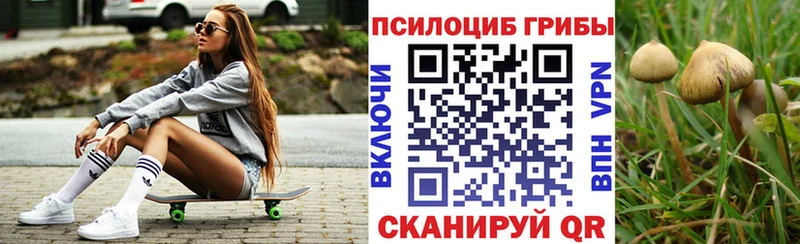 OMG рабочий сайт  наркота  Кизилюрт  Галлюциногенные грибы GOLDEN TEACHER 